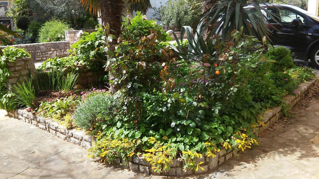 Apartments Barbara Rovinj Ngoại thất bức ảnh