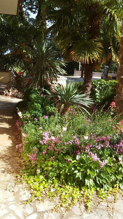 Apartments Barbara Rovinj Ngoại thất bức ảnh
